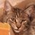 Dom Warr's profile image