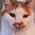 Mitzi Hatmaker's profile image