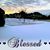 Diane Dillard Thornton's profile image