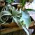 Shirlee Mapes's profile image