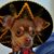 Nancy A Inquilla's profile image