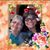 San Juanita Boyles's profile image