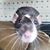 Savannah Helder's profile image