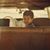 Raul Renteria's profile image