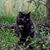 Diane Valin Ogden's profile image