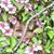 Cheryl Wilgren's profile image
