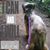 Karry Mang's profile image