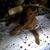 Rita McLaughlin Senier's profile image