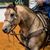 Juan Rmz Fdz's profile image