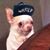 Jenevieve Alvarez's profile image