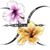 Hanae Dawn's profile image