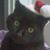 Katherine Stewart's profile image