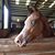 Donna Marie Ratliff - Menendez's profile image