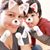 Yazmin Arredondo's profile image
