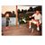 Kathy Mandig Guillory's profile image