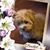 Carol Bosko's profile image