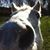Christy Kay's profile image