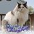 Carla DeFrance Crosby's profile image
