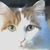 Nancy Henderson's profile image
