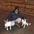 Lizanne N. Haywood Sylvester's profile image