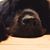 Gerry Haines's profile image