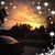 Estell Ford's profile image