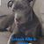Francis Dinel's profile image