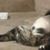 Coleen Dove's profile image