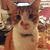 Heidi Lystad's profile image