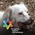 Debby Filler's profile image