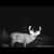 Bradford James's profile image