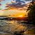 Thomas S Lienhardt's profile image