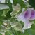 Karen Clark's profile image