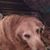 Debra Wilson's profile image