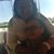 Belinda M Stevenson's profile image