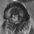Kristin Ippensen's profile image