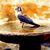 Lynda Matheson's profile image