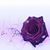 Janice Dotter's profile image