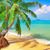 Barb Torkler's profile image