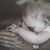 Bonnie Burns's profile image