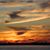 Sheryl Quick's profile image