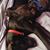 Amanda Maria Wyland- Myatt's profile image
