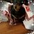 Latasha Dowdy Stansell's profile image