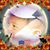 Hòa Thái Nguyễn's profile image