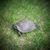 Doreen Middleton's profile image