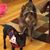 Lori Mandelbaum-Ross's profile image