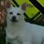 Ronnie Kay Jr.'s profile image