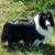 Susan DePue's profile image