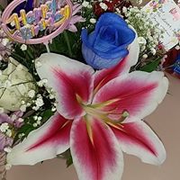 Teri Libretti's profile image