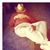 Jason Mashburn's profile image